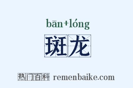 斑龙是什么意思的图片